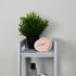 Shunggle Baby Bath Brush- Pink